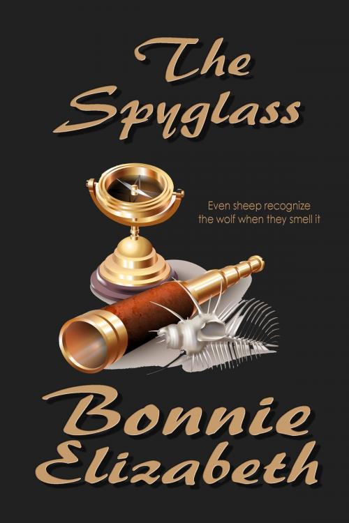 Cover of the book The Spyglass by Bonnie Elizabeth, My Big Fat Orange Cat Publishing