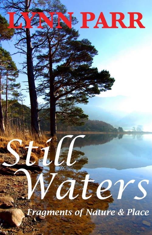 Cover of the book Still Waters by Lynn Parr, Southwind Books