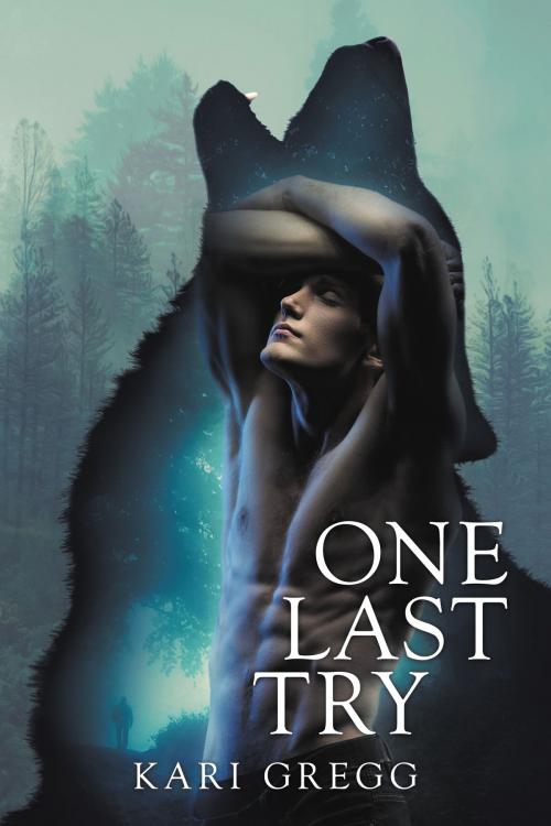 Cover of the book One Last Try by Kari Gregg, Kari Gregg