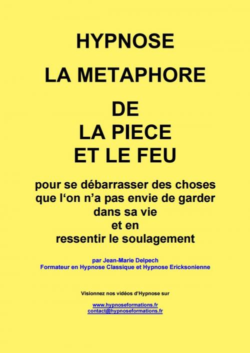 Cover of the book La métaphore de la pièce et le feu by Jean-Marie Delpech, Jean-Marie Delpech