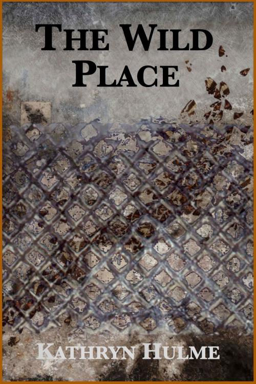 Cover of the book The Wild Place by Kathryn Hulme, Plunkett Lake Press