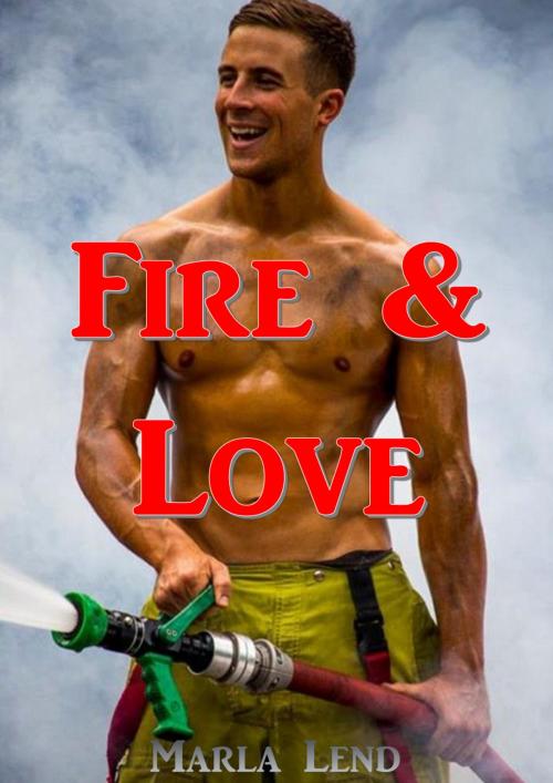 Cover of the book Fire & Love by Marla Lend, ML Edition