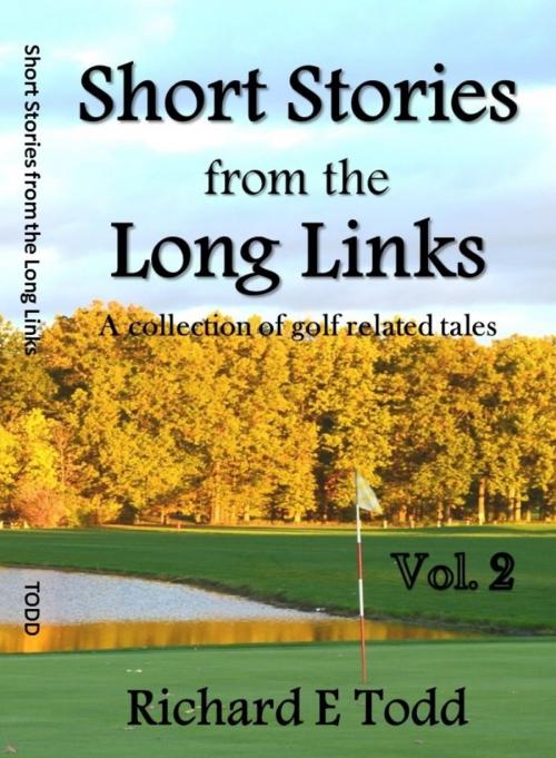 Cover of the book Short Stories from the Long Links by Richard Todd, Richard E Todd