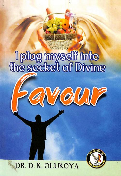 Cover of the book I Plug Myself into The Socket of Divine Favour by Dr. D. K. Olukoya, The Battle Cry Christian Ministries
