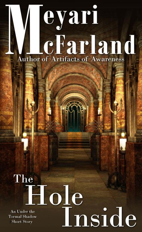 Cover of the book The Hole Inside by Meyari McFarland, MDR Publishing