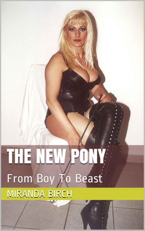 Cover of the book The New Pony by Miranda Birch, Birch Books