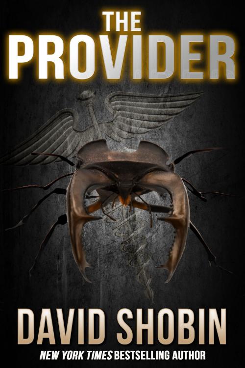 Cover of the book The Provider by David Shobin, Crossroad Press