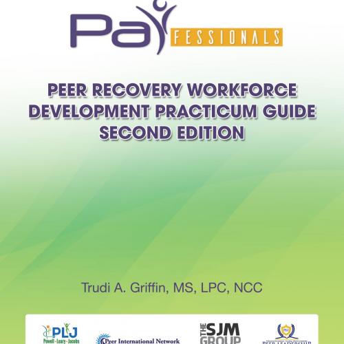 Cover of the book PARfessionals' Peer Recovery Workforce Development Practicum Guide by Parfessionals Behavorial Health Research Development Corporation, PARfessionals Behavioral Health Research Development Corporation