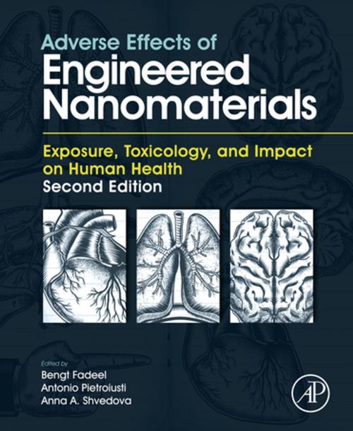 Cover of the book Adverse Effects of Engineered Nanomaterials by , Elsevier Science