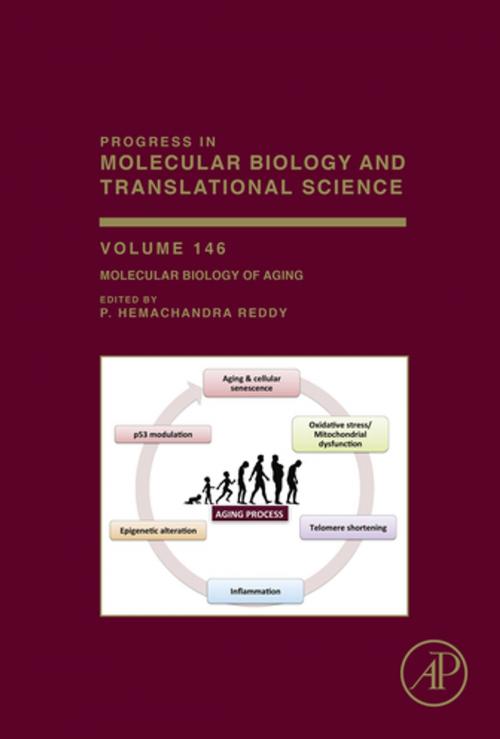 Cover of the book Molecular Biology of Aging by P.Hemachandra Reddy, Elsevier Science