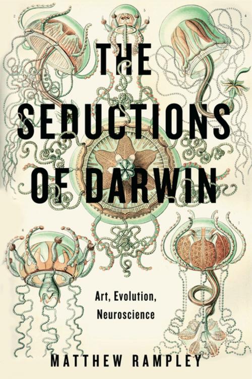 Cover of the book The Seductions of Darwin by Matthew Rampley, Penn State University Press