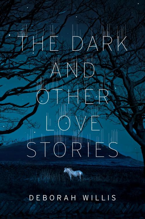 Cover of the book The Dark and Other Love Stories by Deborah Willis, W. W. Norton & Company