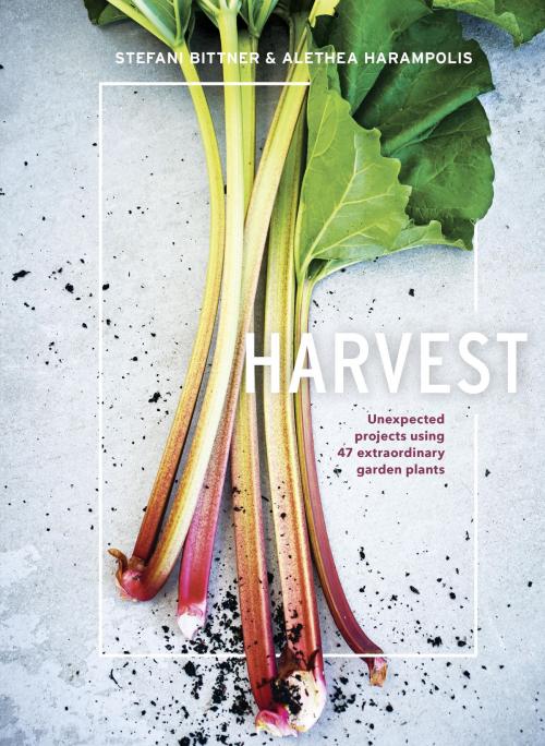 Cover of the book Harvest by Stefani Bittner, Alethea Harampolis, Potter/Ten Speed/Harmony/Rodale