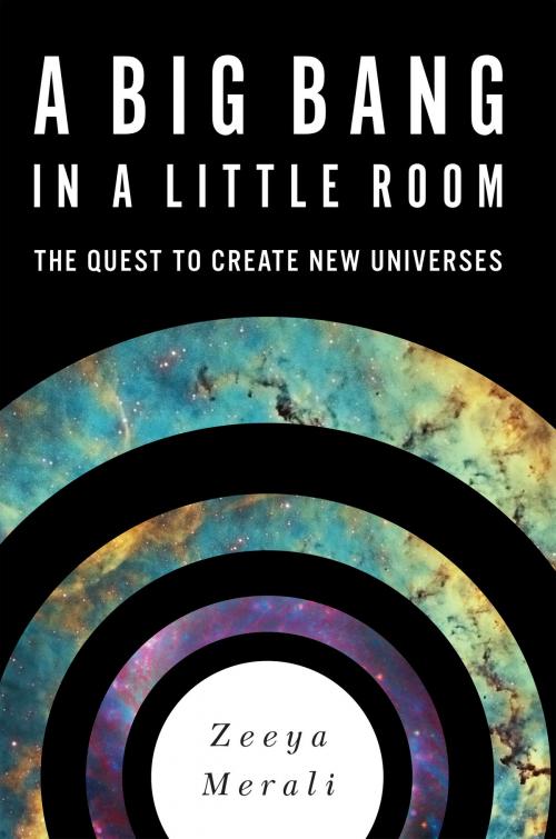 Cover of the book A Big Bang in a Little Room by Zeeya Merali, Basic Books