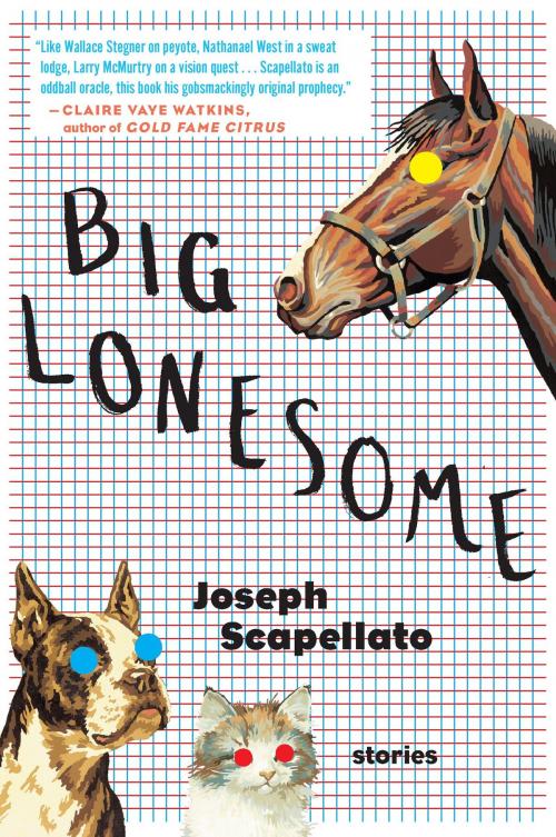 Cover of the book Big Lonesome by Joseph Scapellato, HMH Books