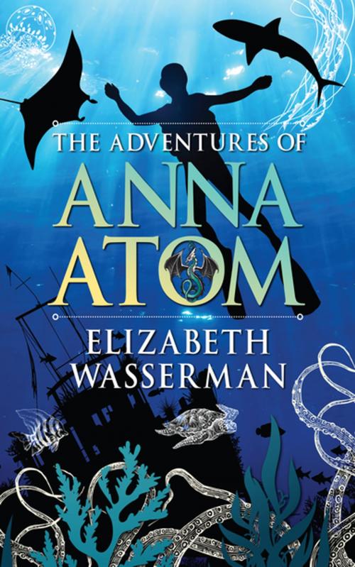 Cover of the book The Adventures of Anna Atom by Elizabeth Wasserman, Tafelberg