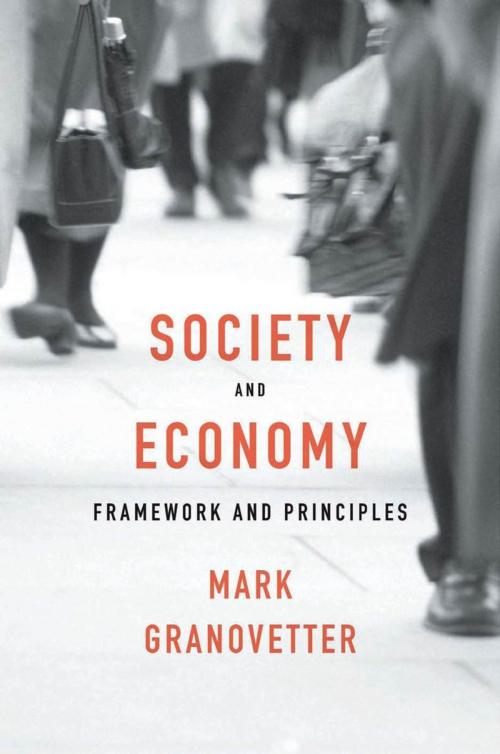 Cover of the book Society and Economy by Mark Granovetter, Harvard University Press
