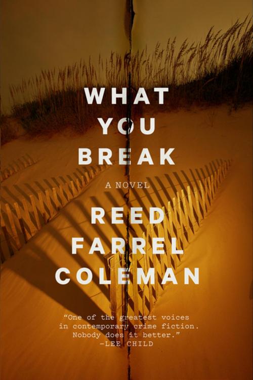Cover of the book What You Break by Reed Farrel Coleman, Penguin Publishing Group