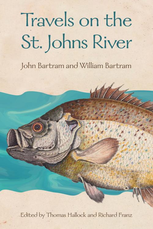 Cover of the book Travels on the St. Johns River by John Bartram, William Bartram, University Press of Florida