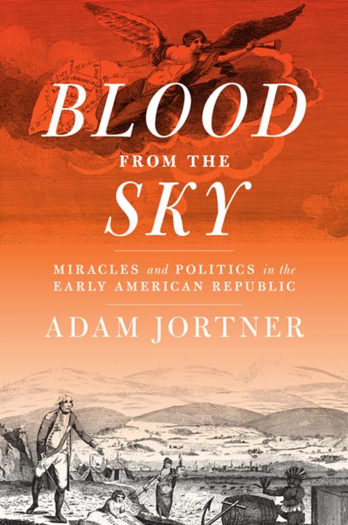 Cover of the book Blood from the Sky by Adam Jortner, University of Virginia Press