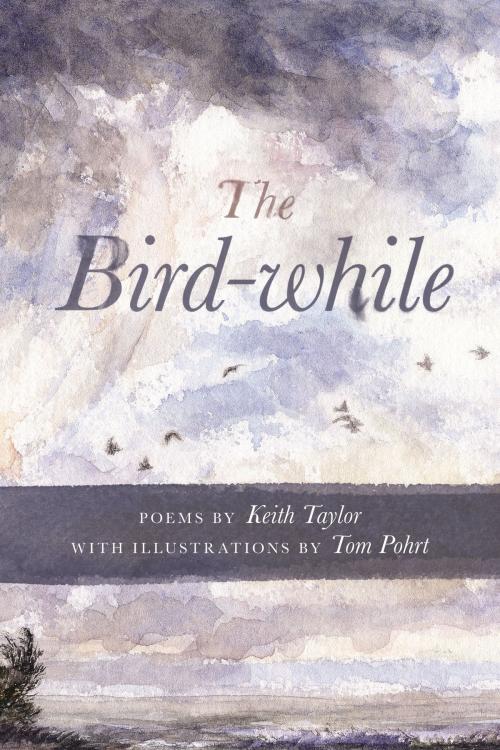 Cover of the book The Bird-while by Keith Taylor, Wayne State University Press