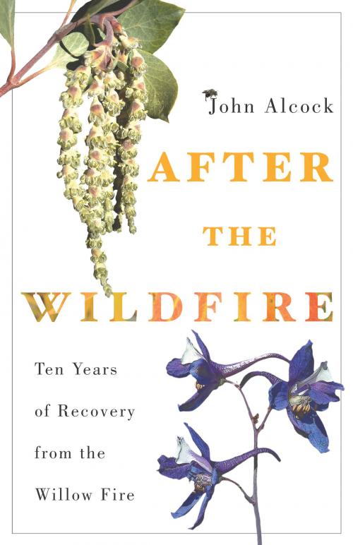 Cover of the book After the Wildfire by John Alcock, University of Arizona Press