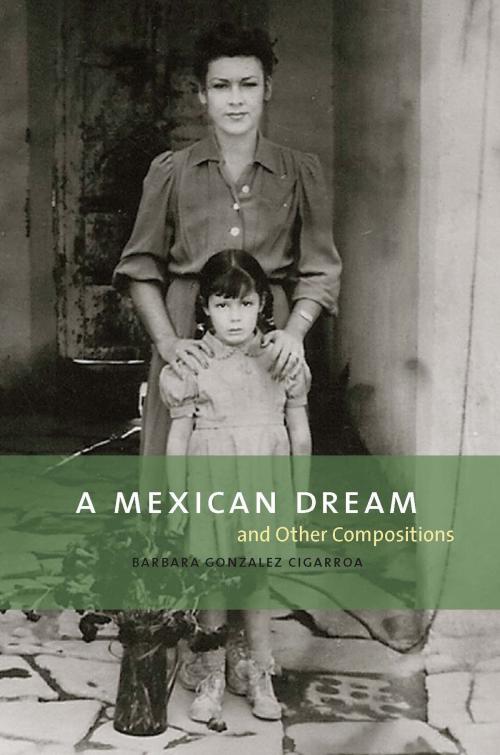 Cover of the book A Mexican Dream by Barbara Gonzalez Cigarroa, TCU Press