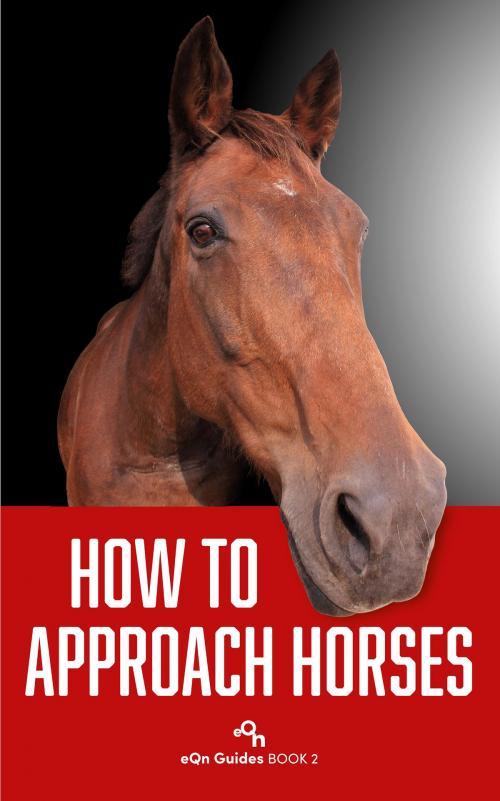 Cover of the book How to Approach Horses by Lis Clegg, eQn Publishing