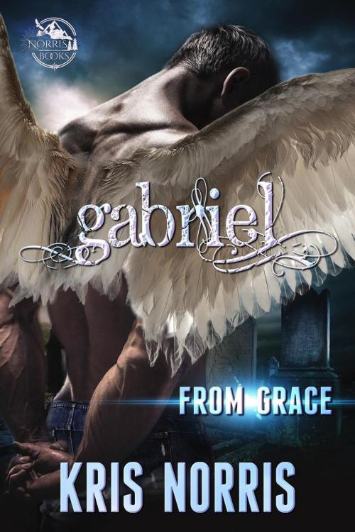 Cover of the book Gabriel by Kris Norris, Kris Norris