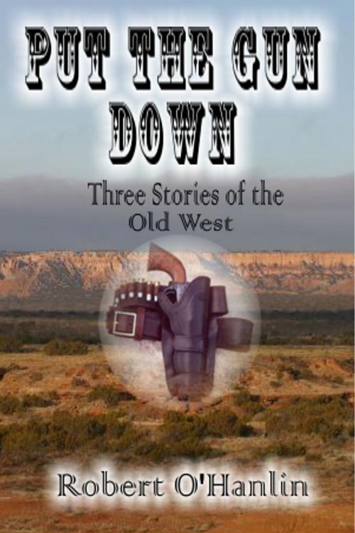 Cover of the book Put the Gun Down by Robert O' Hanlin, Robert O' Hanlin