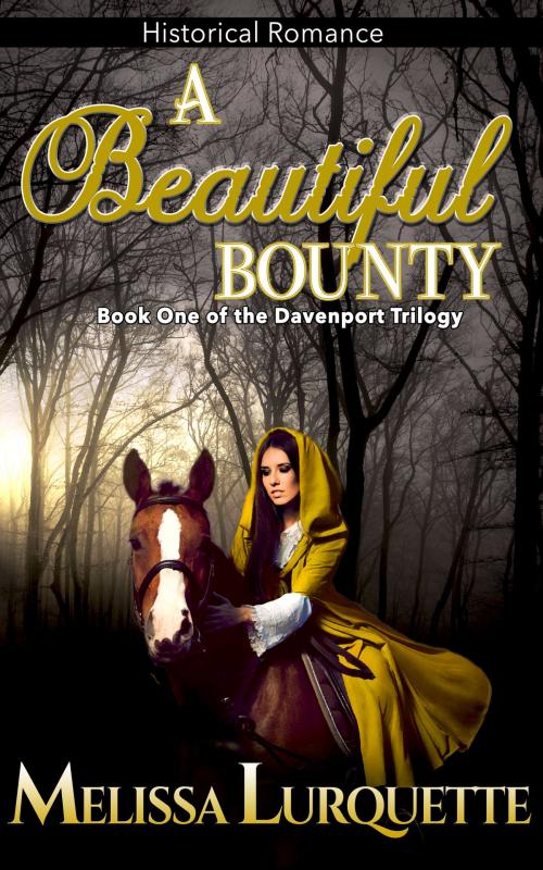 Cover of the book A Beautiful Bounty by Melissa Lurquette, Self-published