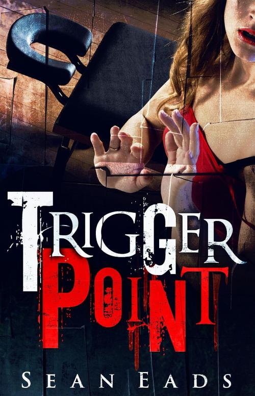 Cover of the book Trigger Point by Sean Eads, Hex Publishers LLC