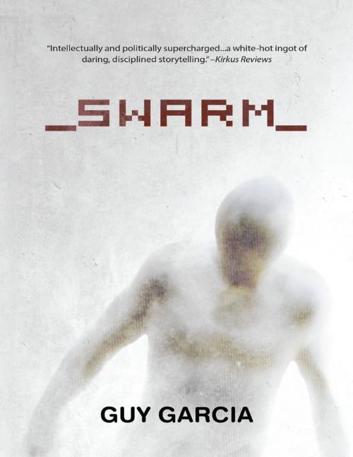 Cover of the book Swarm by Guy Garcia, Morphic Books