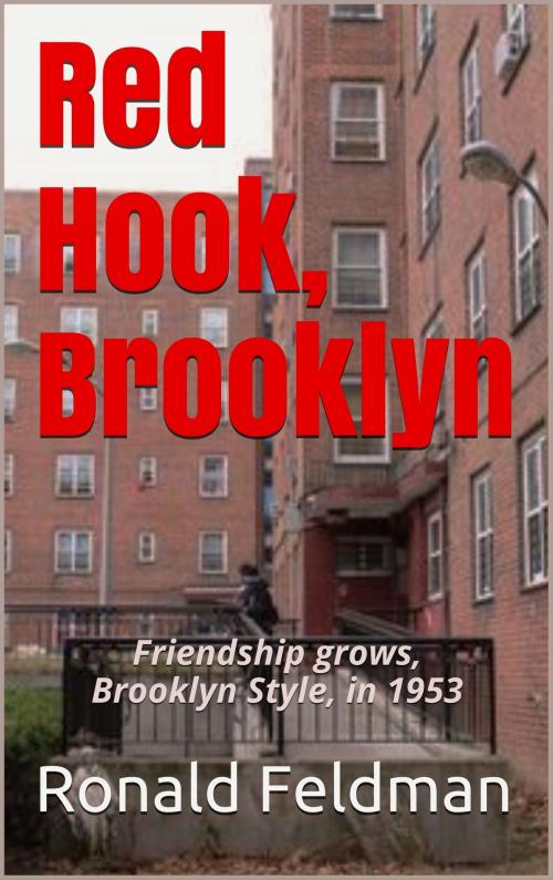 Cover of the book Red Hook, Brooklyn by Ronald Feldman, Ronald Feldman