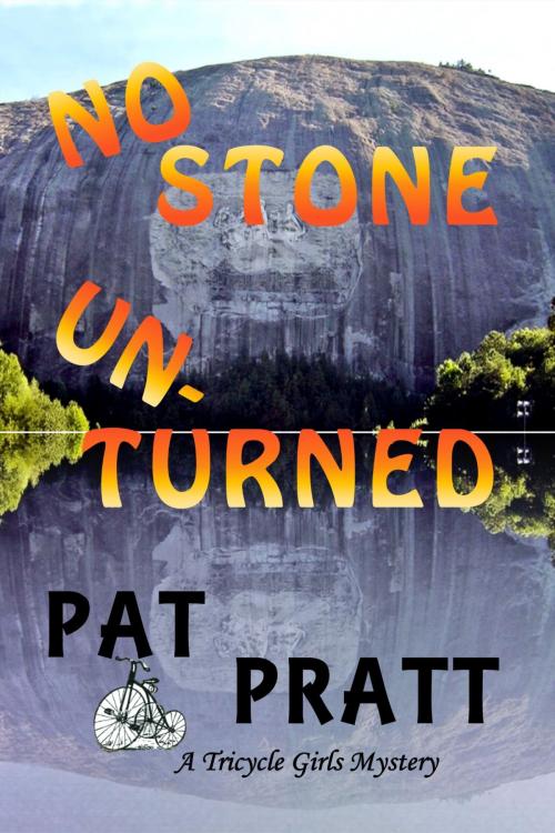 Cover of the book No Stone Unturned by Pat Pratt, Pat Pratt