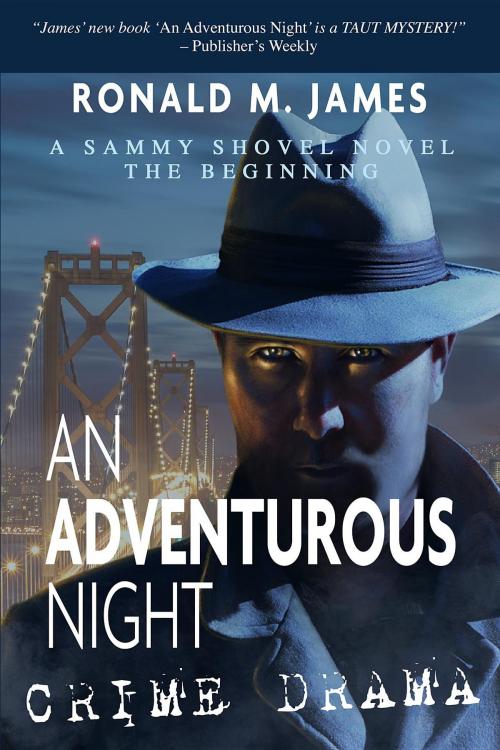 Cover of the book An Adventurous Night by James R. Milward, James Milward