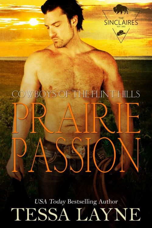 Cover of the book Prairie Passion by Tessa Layne, Shady Layne Media