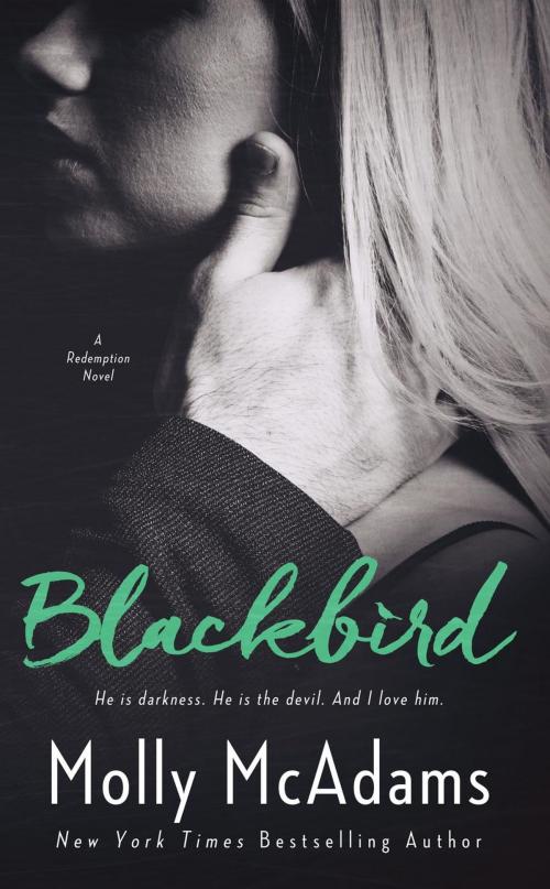 Cover of the book Blackbird by Molly McAdams, Jester Creations, LLC