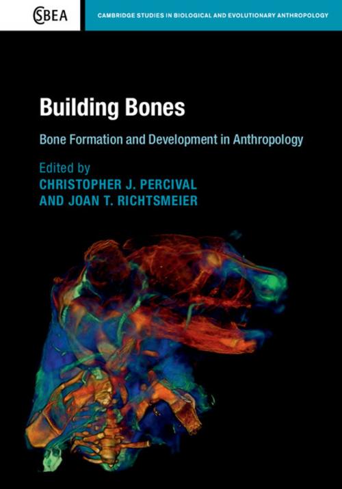 Cover of the book Building Bones: Bone Formation and Development in Anthropology by , Cambridge University Press