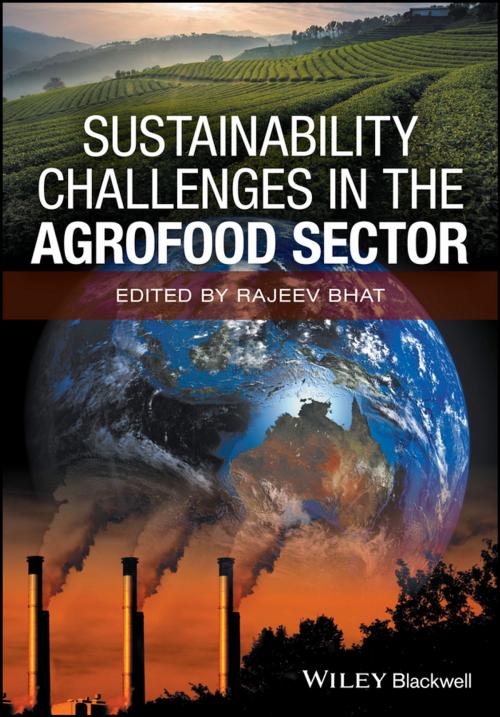 Cover of the book Sustainability Challenges in the Agrofood Sector by , Wiley