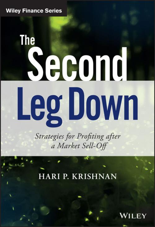 Cover of the book The Second Leg Down by Hari P. Krishnan, Wiley