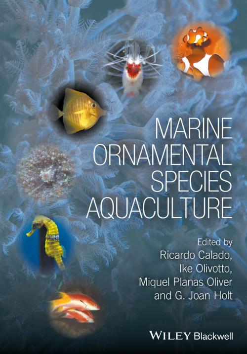 Cover of the book Marine Ornamental Species Aquaculture by , Wiley