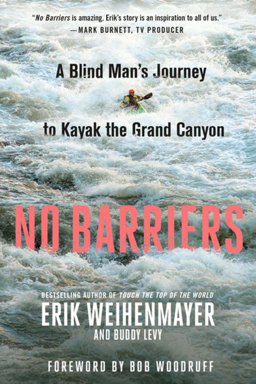 Cover of the book No Barriers by Erik Weihenmayer, Buddy Levy, St. Martin's Press