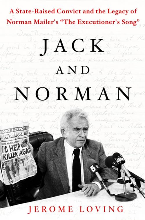 Cover of the book Jack and Norman by Jerome Loving, St. Martin's Press