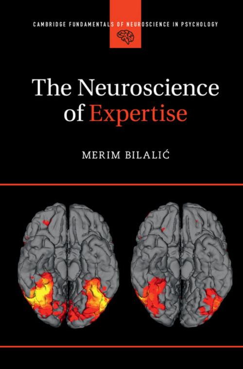 Cover of the book The Neuroscience of Expertise by Merim Bilalić, Cambridge University Press