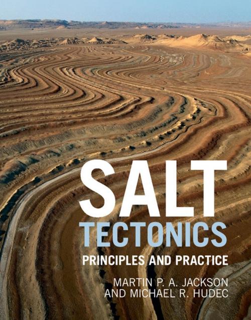Cover of the book Salt Tectonics by Martin P. A. Jackson, Michael R. Hudec, Cambridge University Press