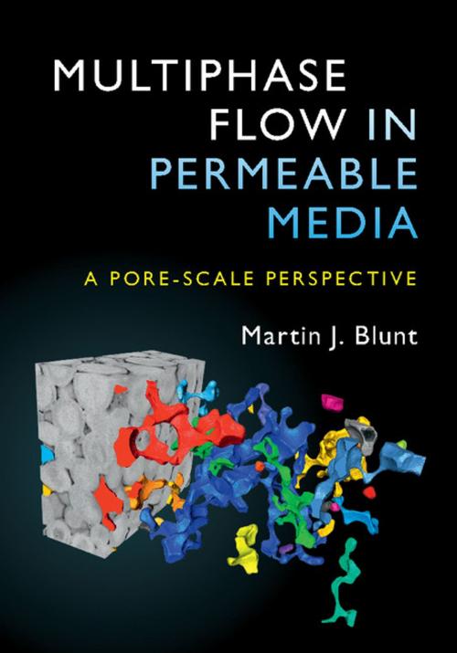 Cover of the book Multiphase Flow in Permeable Media by Martin J. Blunt, Cambridge University Press