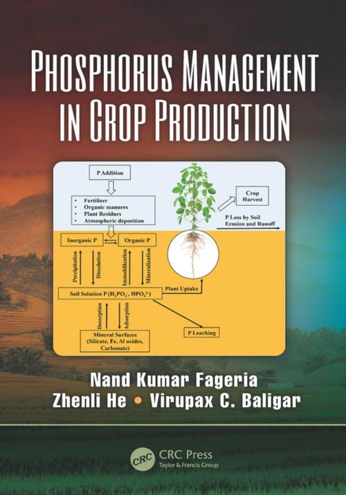Cover of the book Phosphorus Management in Crop Production by Nand Kumar Fageria, Zhenli He, Virupax C. Baligar, CRC Press