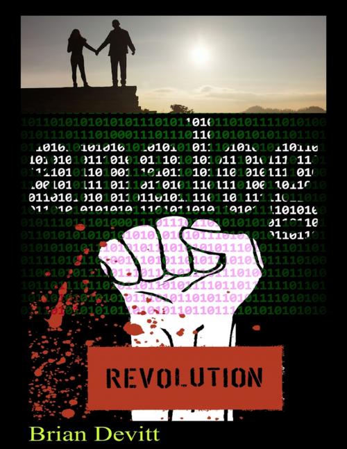 Cover of the book Analog Revolution by Brian Devitt, Lulu.com