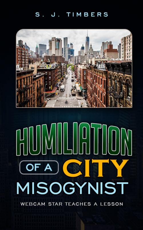 Cover of the book Humiliation of a City Misogynist: Webcam Star Teaches a Lesson by S. J. Timbers, Red Bottom Publishing